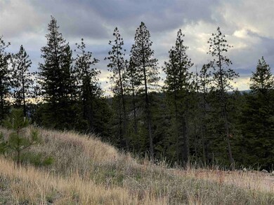 15223 N Cliff Ln unit Site 118A, Spokane, WA 99208 - photo 7