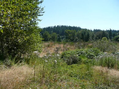 310 157th Ave SE, Kent, WA 98042 - photo 4