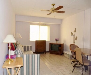 828 Graceland Ave unit 302, Des Plaines, IL 60016 - photo 7