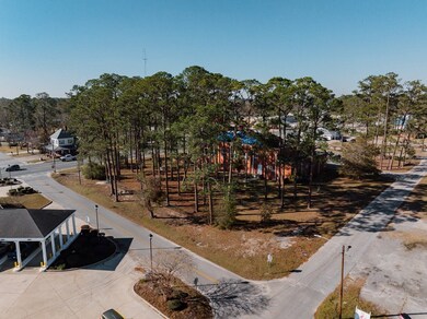 0 W Parker St unit 22975, Baxley, GA 31513 - photo 2