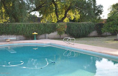 QUIET, PEACEFUL, BEAUTIFUL BACKYARD