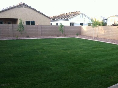 Backyard from Patio