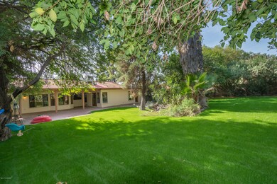 backyard-4