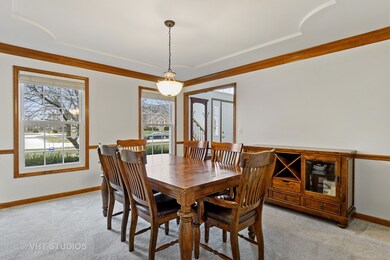 23921 Deer Chase Ln, Naperville, IL 60564 - photo 5