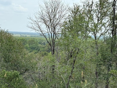 View of wooded area