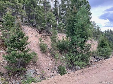 Lot 6184 Ryland Rd, San Pablo, CO 81152 - photo 2