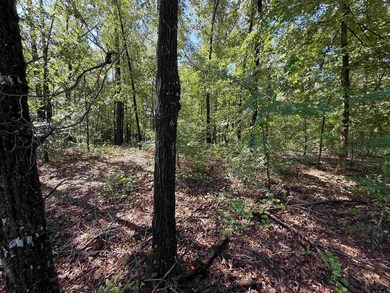 TBD County Road 4194, Henderson, TX 75654 - photo 4