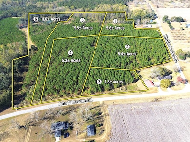 Birdford Lake Rd, Glennville, GA 30427 - photo 3