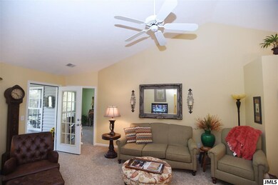 Ceiling fan