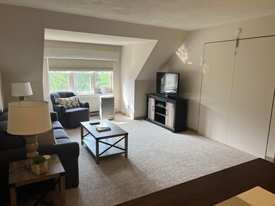 28 Packard Rd unit 633, Waterville Valley, NH 03215 - photo 7