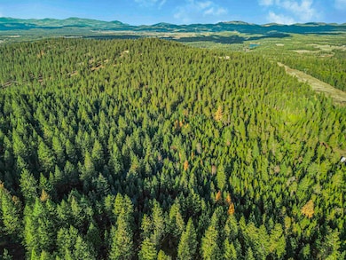 XXX N Waldrons Ln, Chattaroy, WA 99003 - photo 7