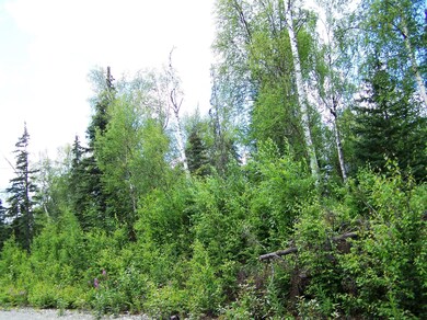 .95 Acre lake lot