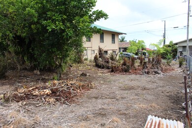 226 Panaewa St, Hilo, HI 96720 - photo 5