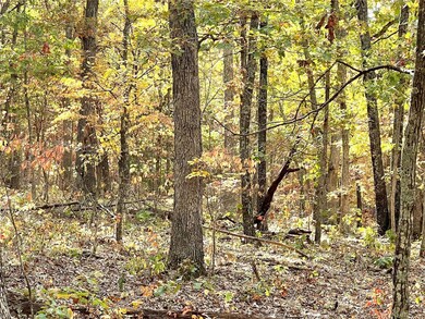 surveyed 18.9 acres +/-