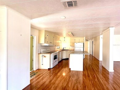 210 N Saint Thomas Cir, Apollo Beach, FL 33572 - photo 4