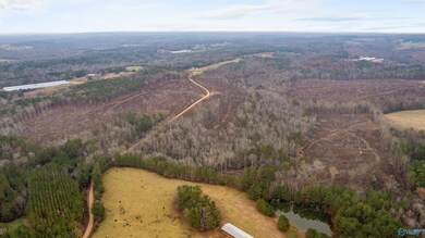 151.13 Acres County Road 673, Roanoke, AL 36278 - photo 7