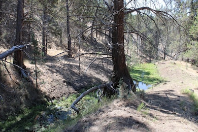 0 Tl 2400 Wiley Creek Rd, Mount Vernon, OR 97865 - photo 7