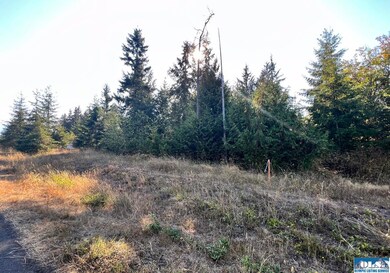 NKA Phillips Pkwy, Port Angeles, WA 98362 - photo 5