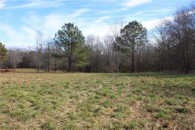 44 ac Olden Porter Rd, Pendleton, SC 29670 - photo 6