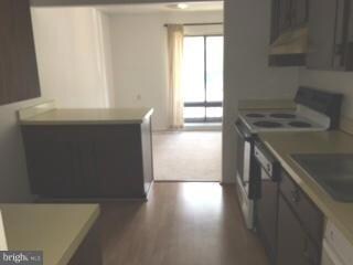 134 Roberts Ln unit 300, Alexandria, VA 22314 - photo 4