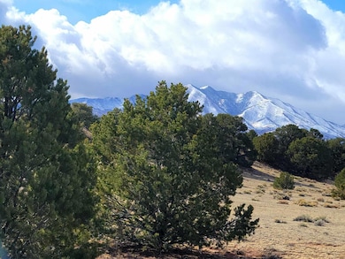 61 Cl&g Ranch, Walsenburg, CO 81089 - photo 2