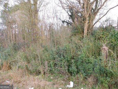 0 Forrest Ave unit 10652792, Rockmart, GA 30153 - photo 2