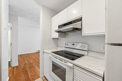 102 E Brookline St unit B, Boston, MA 02118 - photo 6