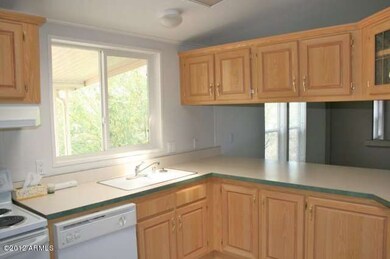 Kitchen Sink Area