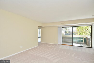 6147 Leesburg Pike unit 205, Falls Church, VA 22041 - photo 6