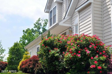 25640 Creek Run Terrace, Chantilly, VA 20152 - photo 3