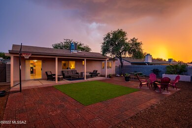 Backyard - Sunset