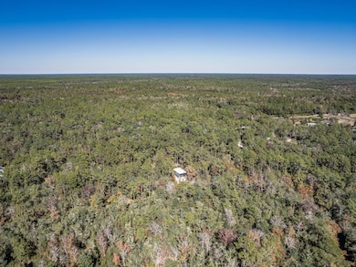 146 Fonigan Rd, Sopchoppy, FL 32358 - photo 6