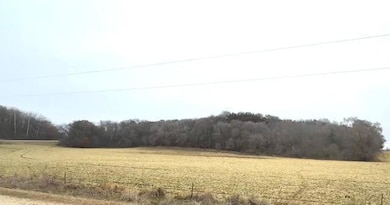 19xx 65th St NE, Rochester, MN 55906 - photo 5