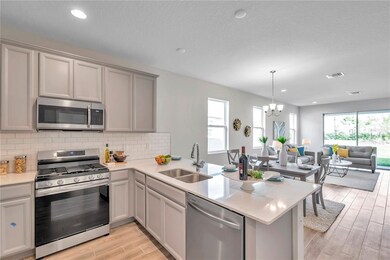 5655 Del Coronado Dr, Apollo Beach, FL 33572 - photo 4