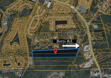TBD Betts Rd, Murrells Inlet, SC 29576 - photo 2