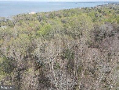 60 American Dr, Montross, VA 22520 - photo 3