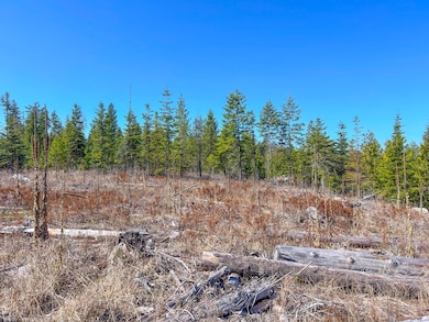 26xx Flowery Trail Rd, Chewelah, WA - photo 6