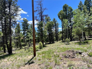 1002 Indian Creek Rd unit R0011770, Florissant, CO 80816 - photo 3
