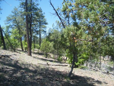 6204 N Wildcat Trail, Show Low, AZ 85901 - photo 5
