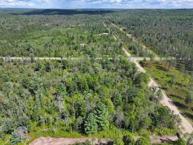 V L 10a 72nd St, Idlewild, MI 49642 - photo 6