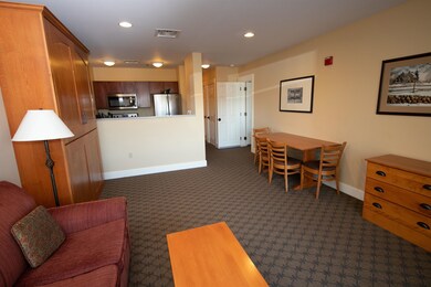 382/384 Qtr III Jackson Gore Inn, Ludlow, VT 05149 - photo 6