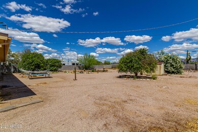 Back yard