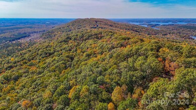 2274 Sierra Trace Rd unit 44, Denton, NC 27239 - photo 4