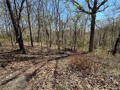 0 Diss Ln, Bella Vista, AR 72715 - photo 2