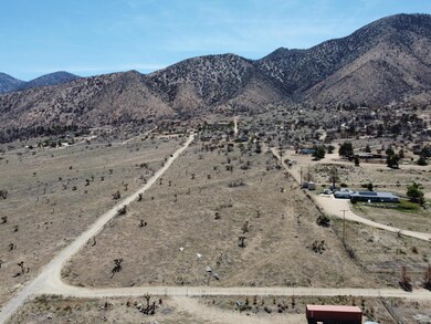 DJI_0071 - Copy