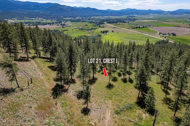 xxx-palmer-loop-lot-21.crest I (18)