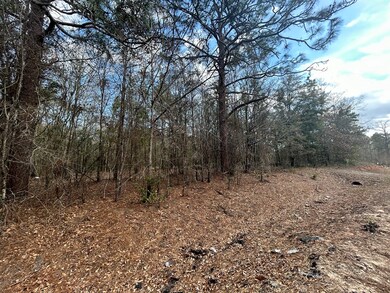 000 Rabbit Run Rd, Baconton, GA 31716 - photo 5