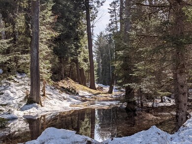 0 Carnegie Woods unit Parcel 2 322988, Naubinway, MI 49762 - photo 6