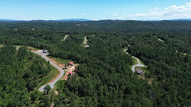 0 Vista Creek Dr unit 418544, Talking Rock, GA 30175 - photo 6