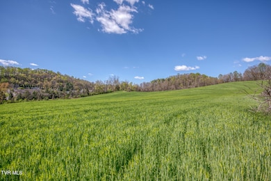 Tbd Wallace Pike, Bristol, VA 24202 - photo 5